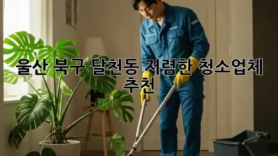 울산 북구 달천동 저렴한 청소업체 추천