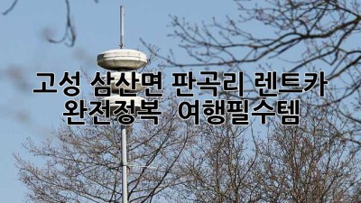 고성 삼산면 판곡리 렌트카 완전정복 😎 #여행필수템