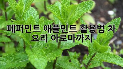 페퍼민트 애플민트 활용법: 차, 요리, 아로마까지!