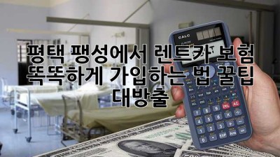 🚗 평택 팽성에서 렌트카 보험 똑똑하게 가입하는 법! 꿀팁 대방출 🍯